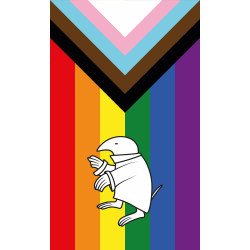 Vlajka PRIDE
